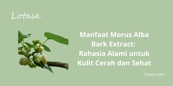 Manfaat Morus Alba Bark Extract: Rahasia Alami untuk Kulit Cerah dan Sehat