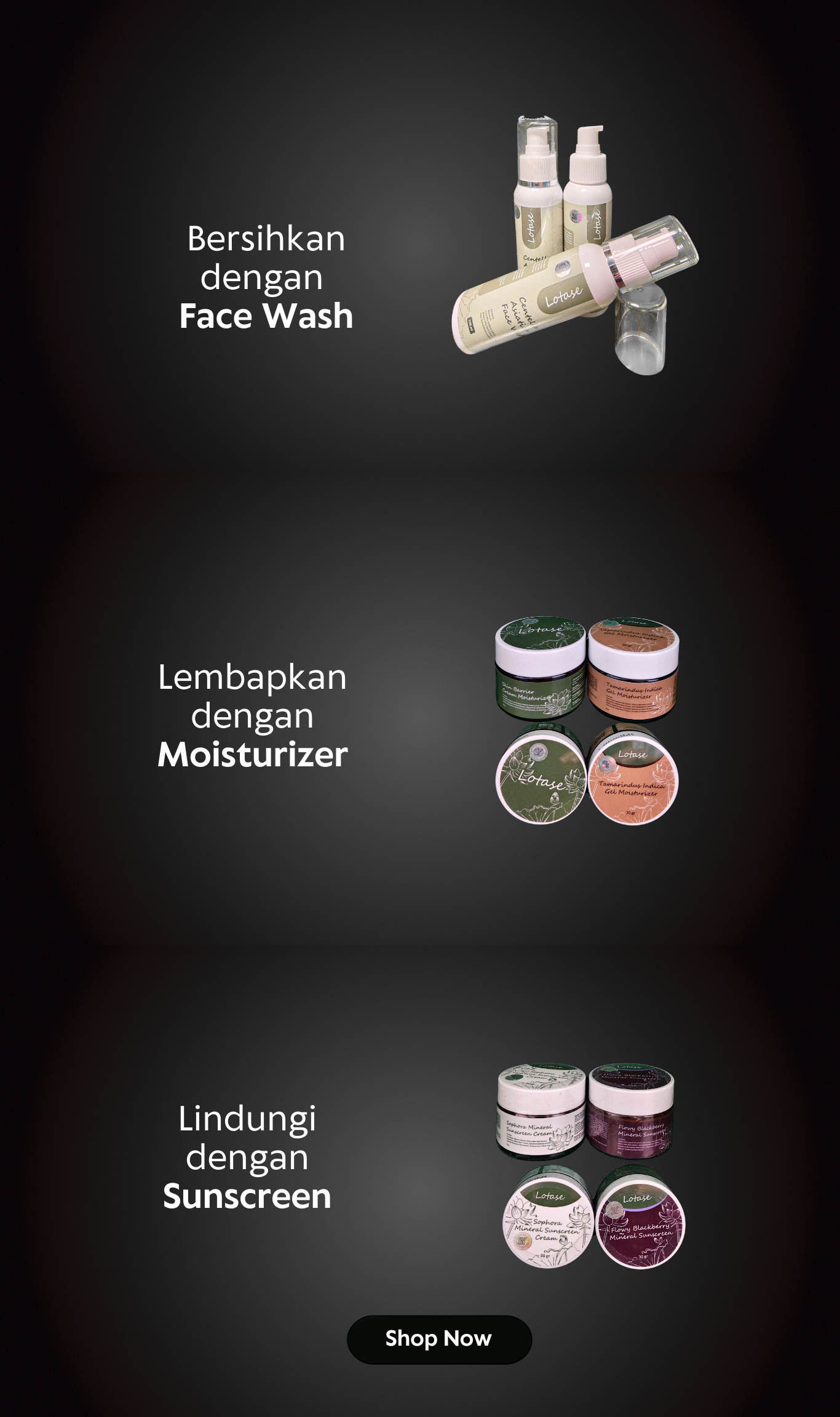 produk lotase