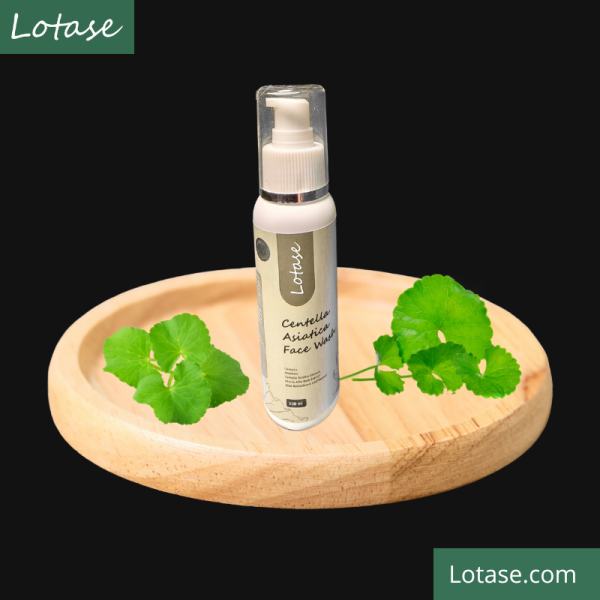 lotase centella asiatica face wash 1 pc