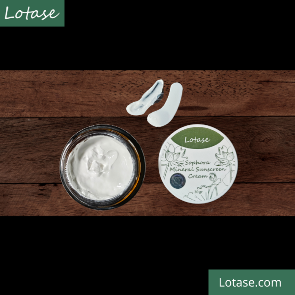 tekstur LOTASE Sophora Mineral Sunscreen Cream