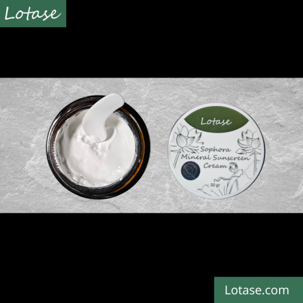 LOTASE Sophora Mineral Sunscreen Cream tampak atas