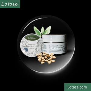 Bahan aktif LOTASE Sophora Mineral Sunscreen Cream