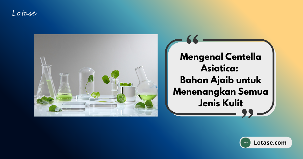 Mengenal Centella Asiatica: Bahan Ajaib untuk Menenangkan Semua Jenis Kulit