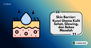 apa itu skin barrier