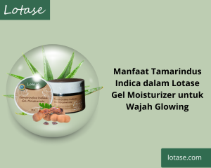 Manfaat Lotase Tamarindus Indica Gel Moisturizer