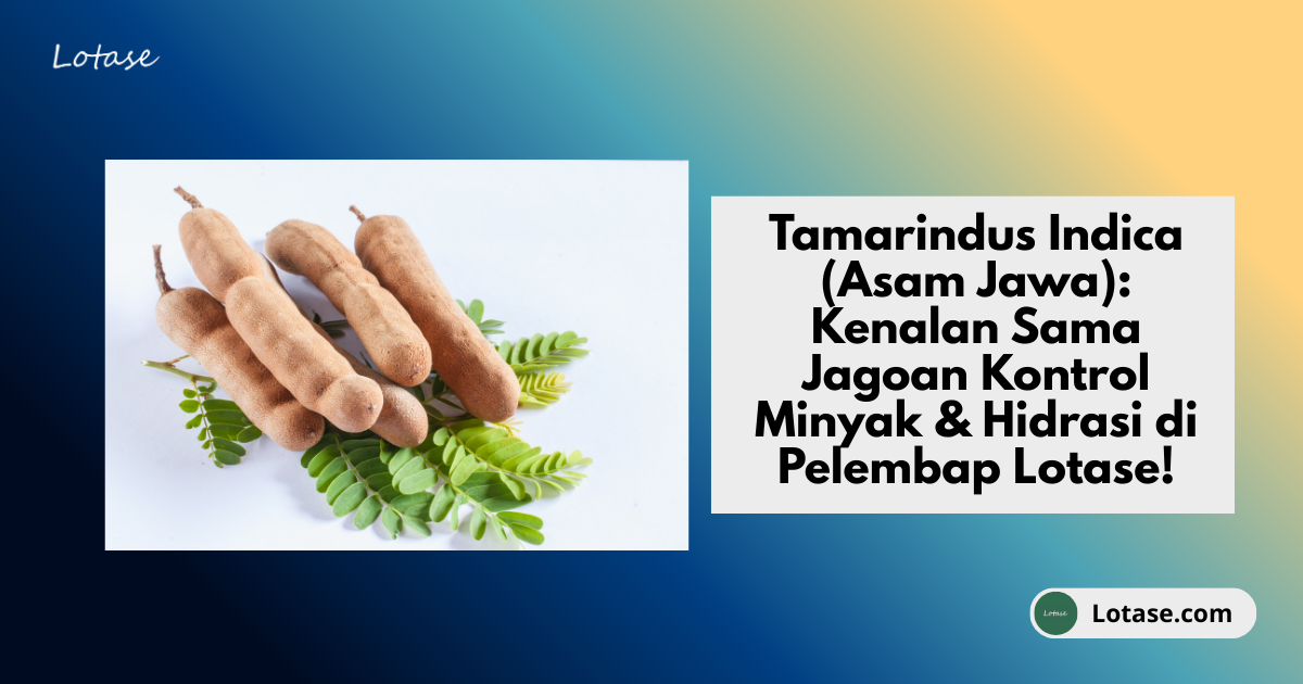 Manfaat Tamarindus Indica (Asam Jawa) untuk Kulit Berminyak